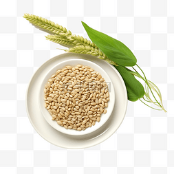 麥子素材图片_萨尔树叶盘上的小麦粒