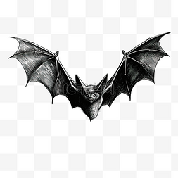 张开翅膀的蝙蝠万圣节主题手绘吸