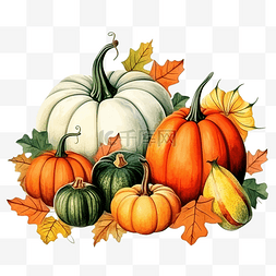 感恩节时尚的组合，秋天的色彩和