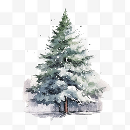 冬天雪松树图片_被雪覆盖的圣诞松树插画水彩
