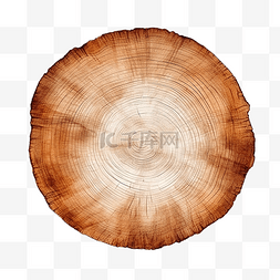 装饰水彩木板圆树皮形状