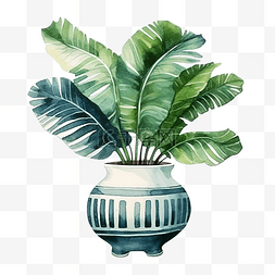 带盆的植物图片_水彩家居装饰热带植物带盆