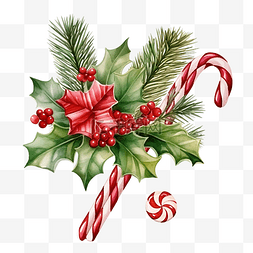 棒棒糖装饰边框图片_圣诞冬青边框与糖果手杖和棒棒糖