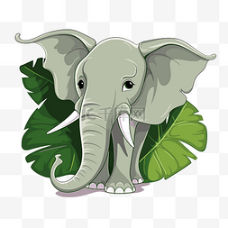 可爱象图片_大象耳朵剪贴画可爱的大象附近叶