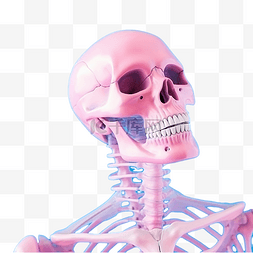 蓝色骨骼人体图片_粉色蓝色柔和的假骨架