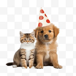 可爱猫和狗图片_戴着圣诞花环和圣诞老人??帽子的