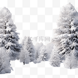 与雪树和雪花的冬季景观