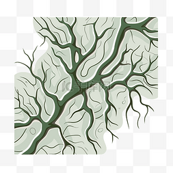 静脉粥样硬化图片_绿色和棕色卡通树枝的静脉剪贴画