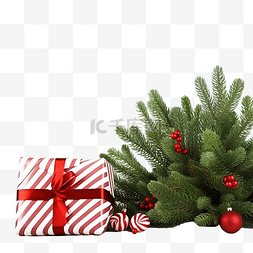 礼品边框图片_杉树枝上有圣诞礼品盒和拐杖糖