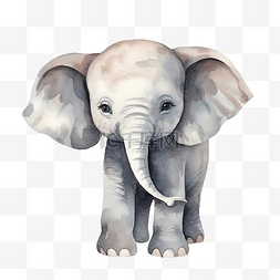 水彩可爱的大象
