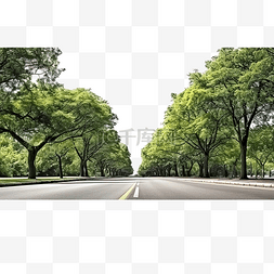 新鲜上市图片_有树和草的公共道路