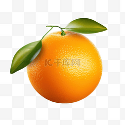 多个产品展示图片_甜多汁美味天然生态产品橙子