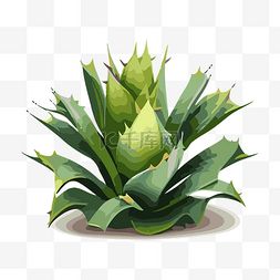 绿色鸭舌帽矢量图片_龍舌蘭植物 向量