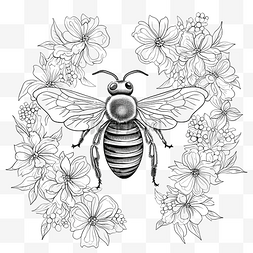 蜜蜂线条图片_蜜蜂和花