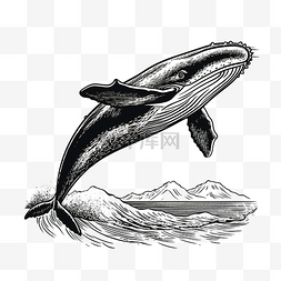 抽象鲸鱼图片_鲸鱼复古木刻