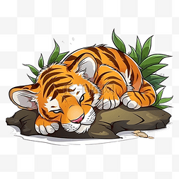 可爱的老虎活动睡觉
