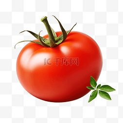 番茄PNG免费下载3D番茄图片
