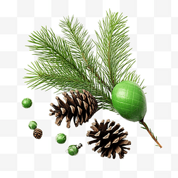 圣诞装饰，绿色的锥体和松枝