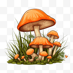 放插画图片_橙色蘑菇和草插画