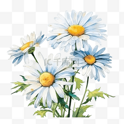 微小植物图片_白色雏菊可爱小孩风格油画