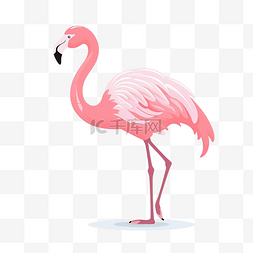 粉红色的火烈鸟符号颜色