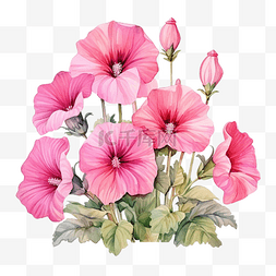 和平与爱图片_水彩房子与粉红色的花朵锦葵