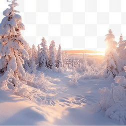 天空冰山图片_日落时美妙的圣诞冬季森林