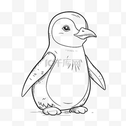 一只可爱的企鹅鸟轮廓素描的铅笔