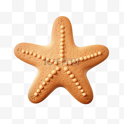 闪亮橙图片_饼干形状的可爱海星