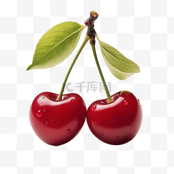 两颗可爱的樱桃