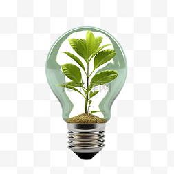 植物世界背景图片_灯泡内植物的 3D 插图