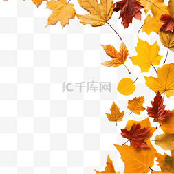 秋季装饰品图片_秋季背景，四侧金叶，带复制空间