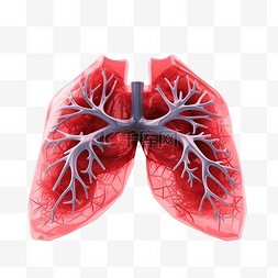 肺的 3d 插图