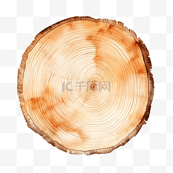 装饰水彩木板圆树皮形状