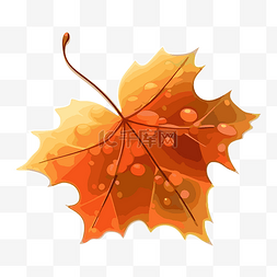 秋天叶子剪贴画秋天叶子与水滴在