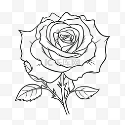用黑白线条轮廓草图绘制的玫瑰彩