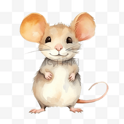 可爱老鼠图片_水彩老鼠可爱卡通