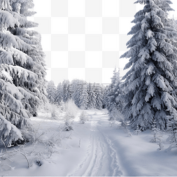 雪中树图片_下雪的