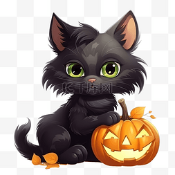 可爱俏皮的黑色小猫与快乐女巫侏