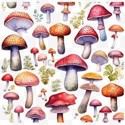 有毒的蘑菇图片_水彩蘑菇五彩