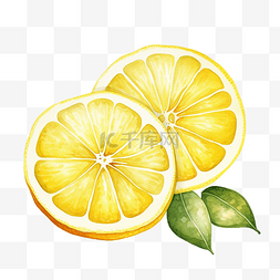 柑橘图标图片_水彩柠檬片剪贴画