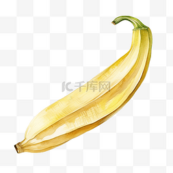 新鲜香蕉图片_水彩香蕉皮