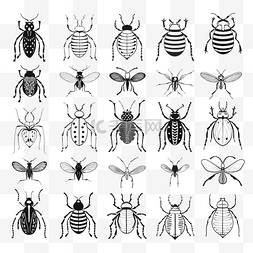 草和虫子图片_手绘涂鸦插画的昆虫