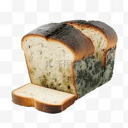 有毒食物图片_发霉的切片面包在隔离上