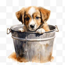 可爱水桶图片_水桶里的狗的水彩画