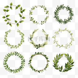 框架情人节图片_用植物叶子装饰的一组框架或圆形