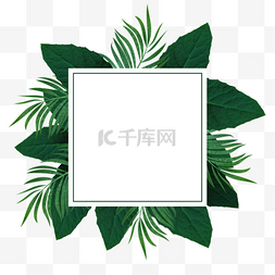 绿色植物剪纸图片_夏季边框热带树叶绿色植物