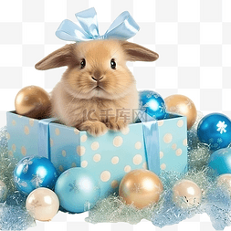 礼盒里的小兔子和绿色圣诞节的蓝