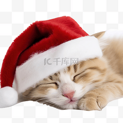 老人睡觉图片_戴着圣诞老人帽子的圣诞小猫在家
