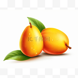 芒果背景图图片_白色背景中的两个芒果